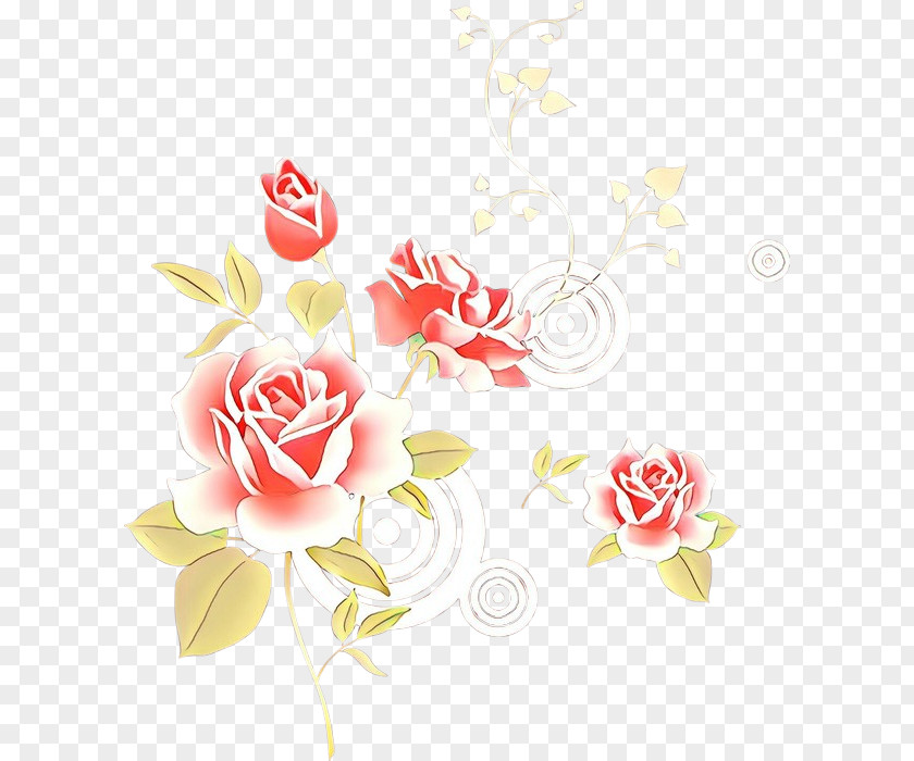 Rose Family Plant PNG