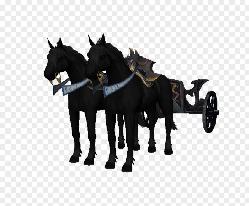 War Chariot Horse Wagon Warhammer Fantasy Battle PNG