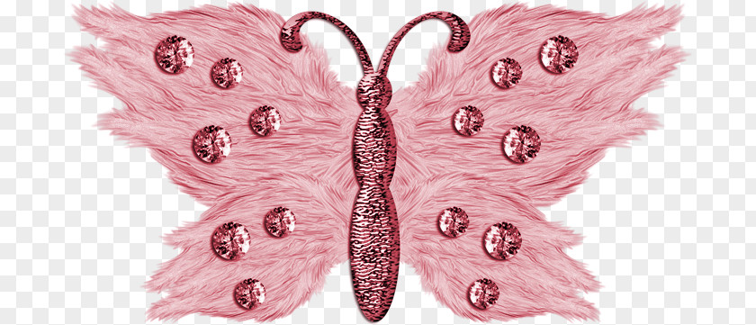 Crystal Butterfly Moth Quartz Symmetry PNG