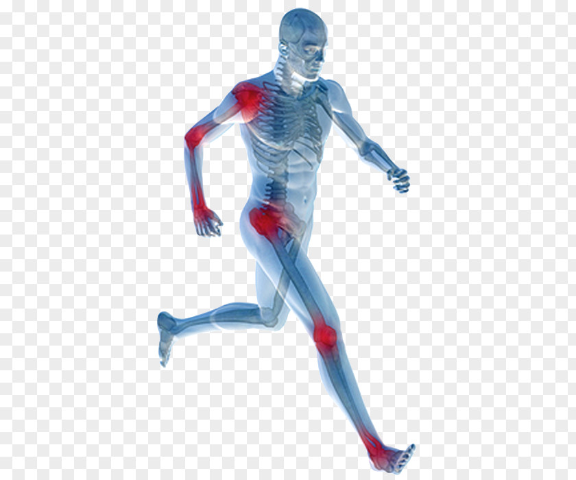 Health Back Pain Joint Physical Therapy Human Body PNG