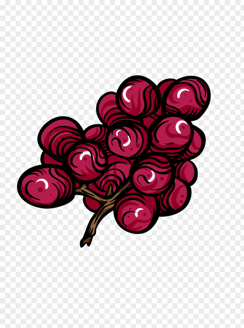 Lines Of Fruit Grapes Grape Auglis PNG