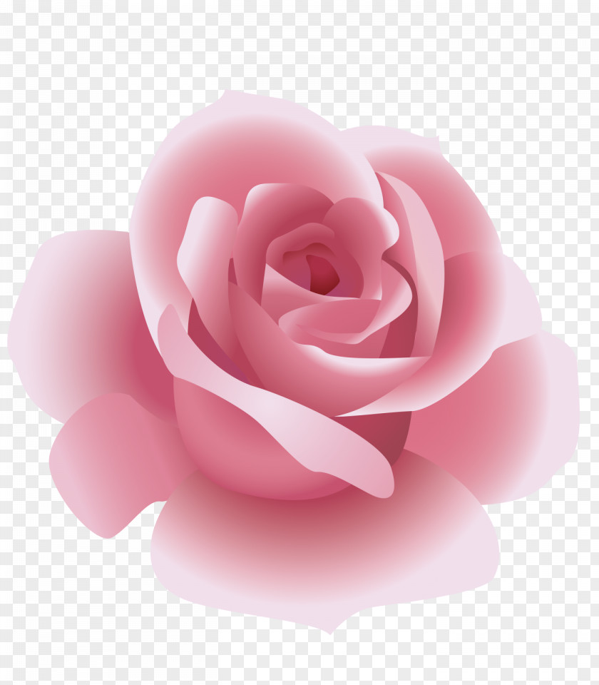 Pink Rose Rosxe9 PNG
