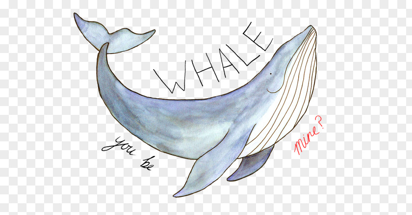 Whale Illustration Tucuxi Common Bottlenose Dolphin Porpoise YouTube Cetacea PNG