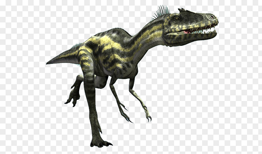 Dinosaur Deltadromeus Velociraptor Ceratosaurus Alioramus Bahariasaurus PNG