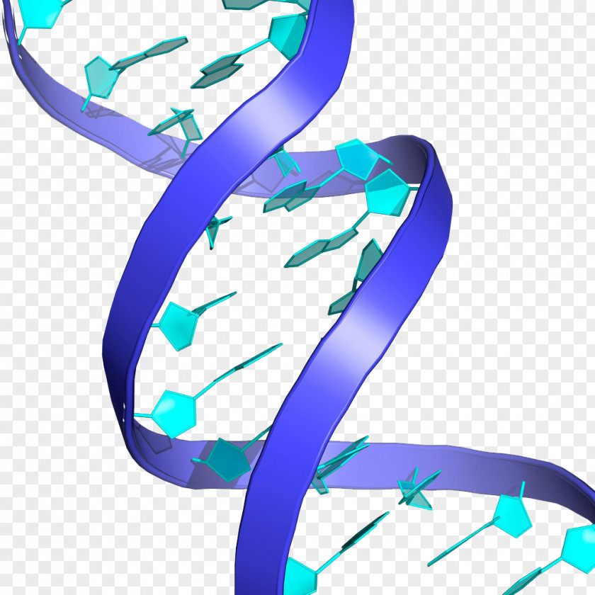 Technology Floating Elements DNA Nucleic Acid Double Helix Genetic Testing Stock Photography Biology PNG
