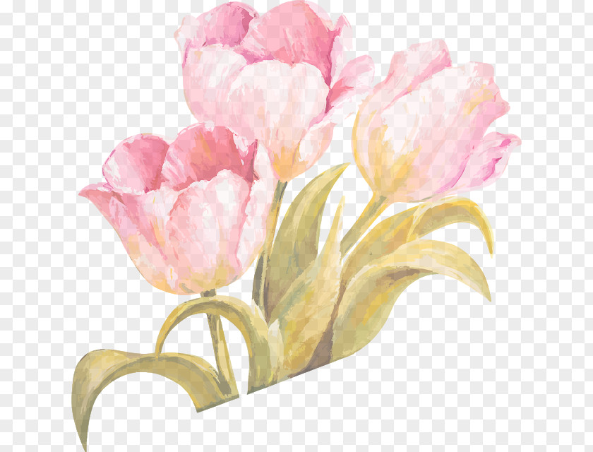 Tulip Watercolor: Flowers Watercolor Painting Vector Graphics PNG
