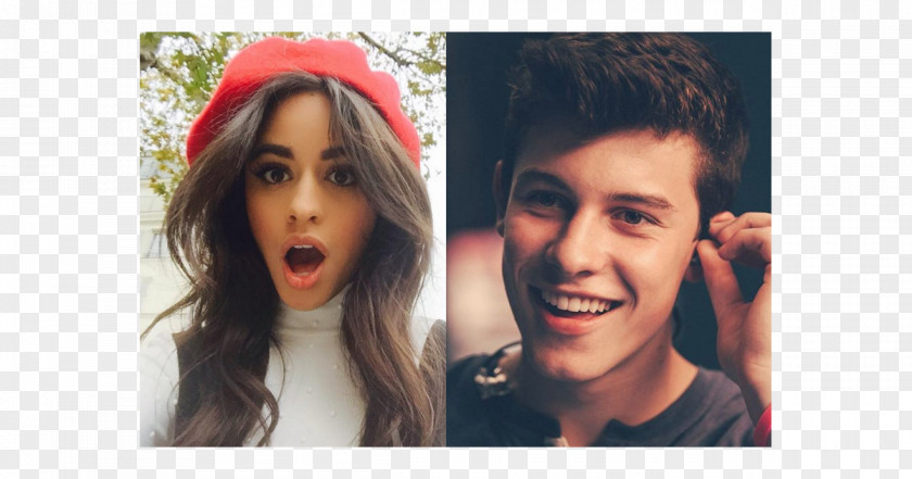 Camila Cabello Shawn Mendes Fifth Harmony Never Be The Same PNG the Same, jailson mendes meme clipart PNG