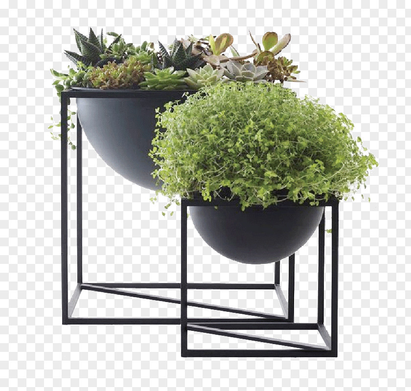 Continental Iron Flower Pots Indoor Succulents Floating Shelf Industrial Style By Lassen Concept Store Interior Design Services PNG