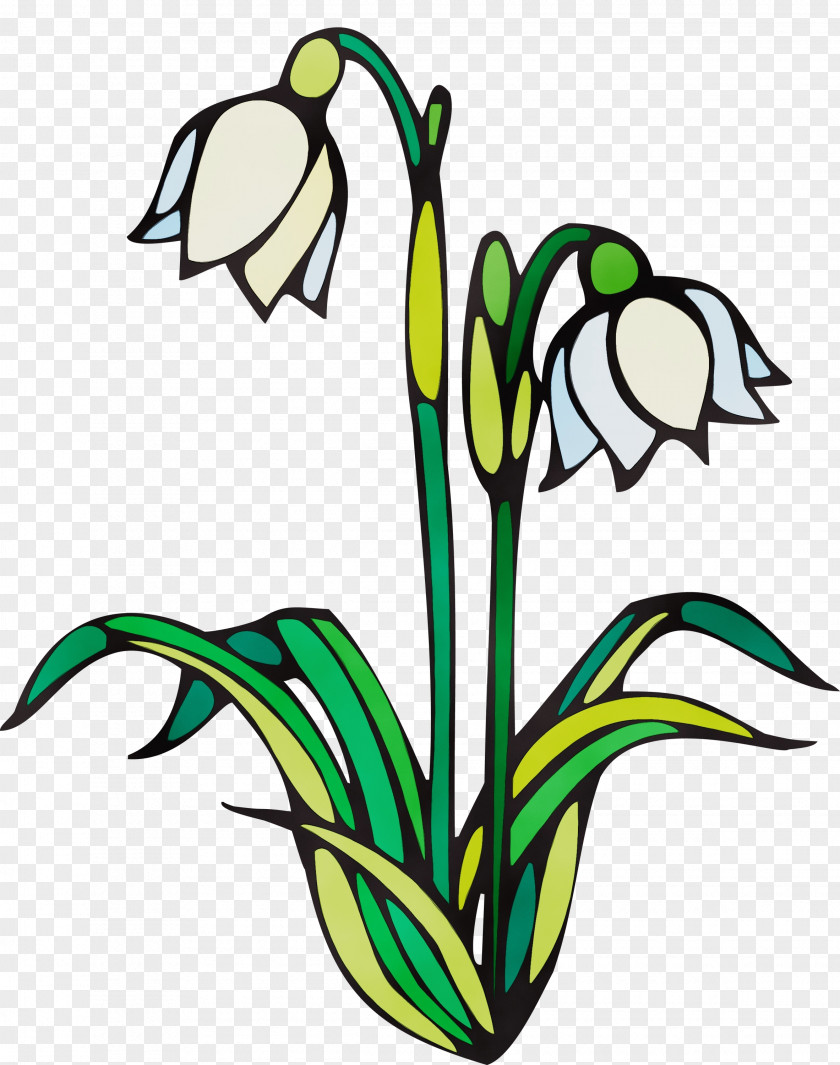 Flower Plant Houseplant Flowerpot Stem PNG