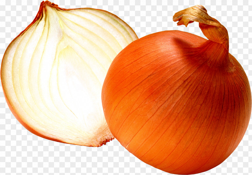 Onion Liver And Onions Blooming White PNG