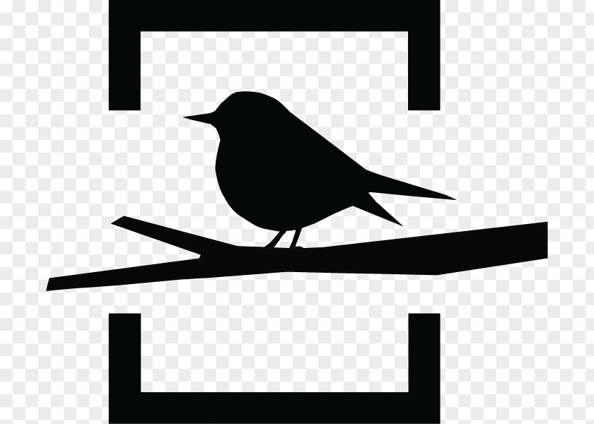 Bird Beak Cyprus Wheatear Silhouette Clip Art PNG