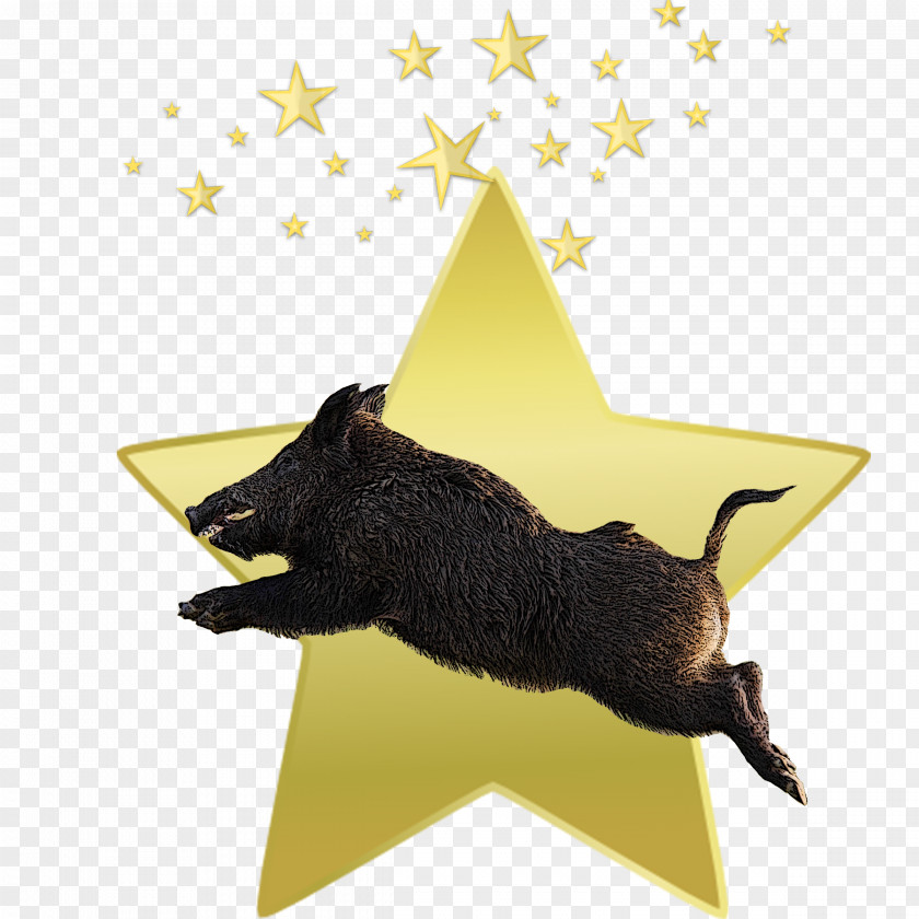 Boar Star Tag Clip Art PNG