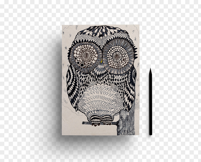 Creative Real Fairy Tale Owl Drawing /m/02csf Skull Rectangle PNG