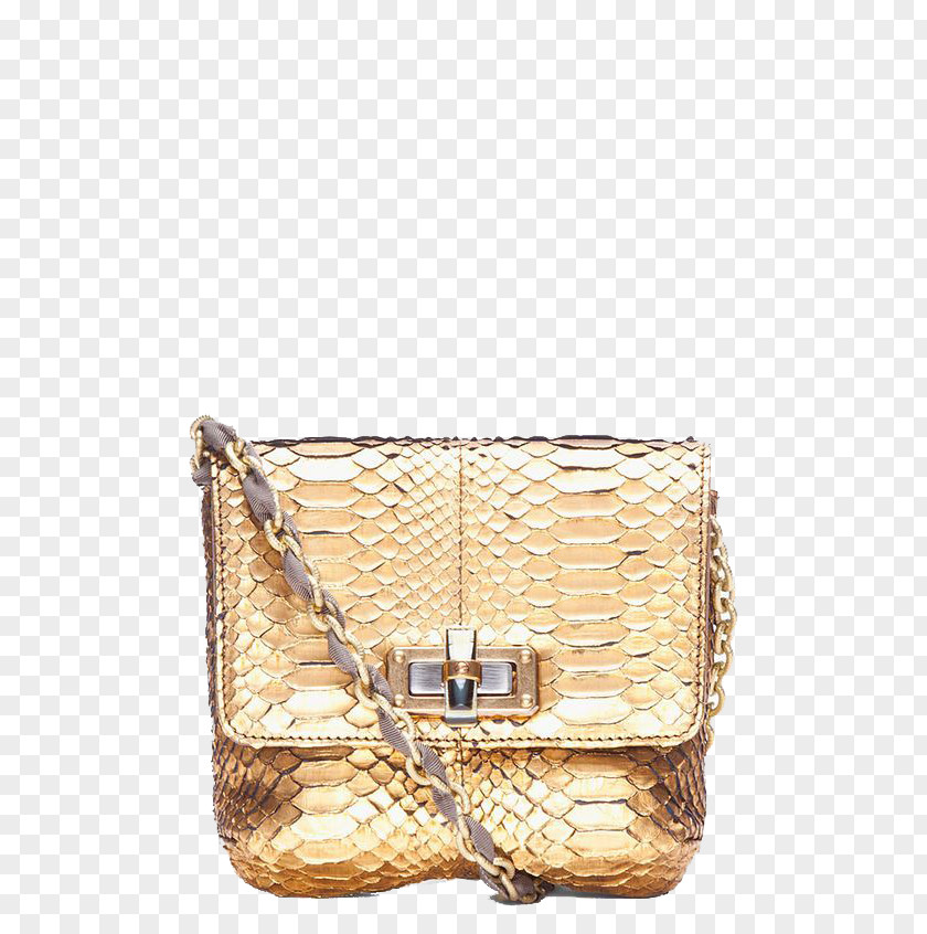 Golden Alligator Small Sachet Handbag Chanel Leather Tote Bag Shoe PNG