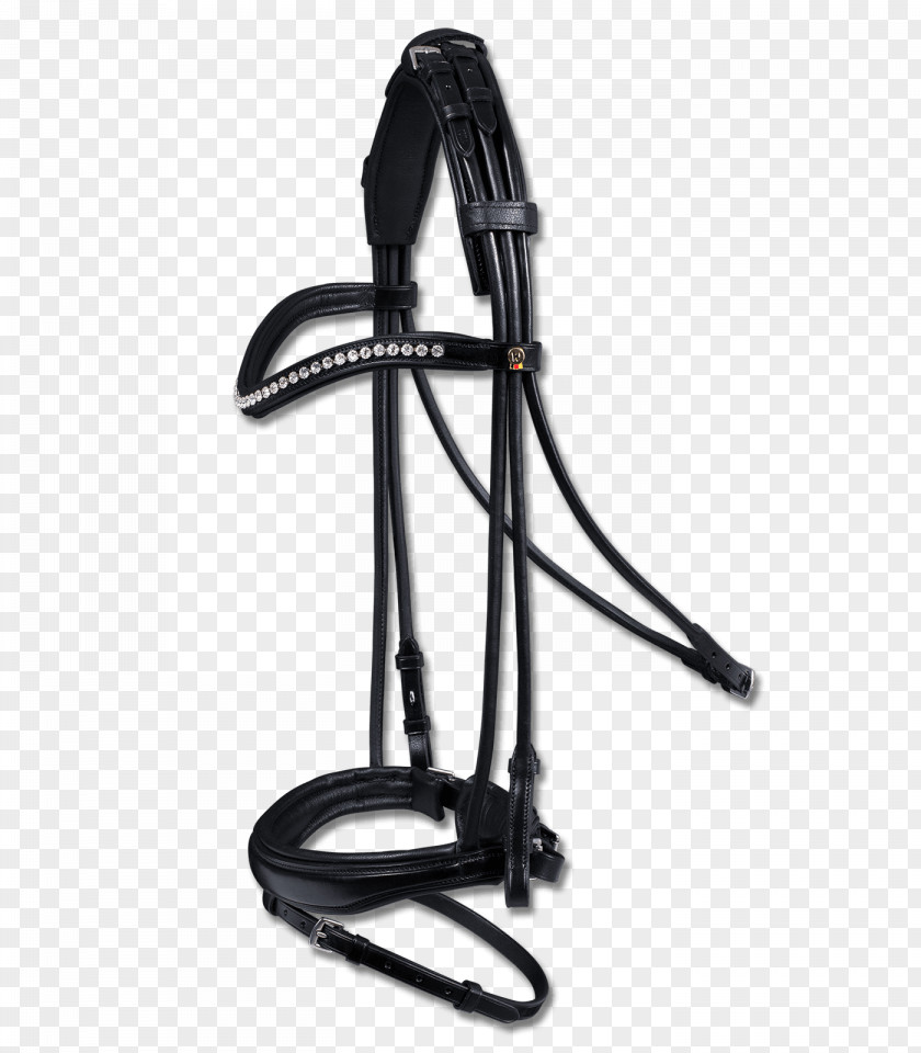 Horse Bridle Bit Equestrian Noseband PNG