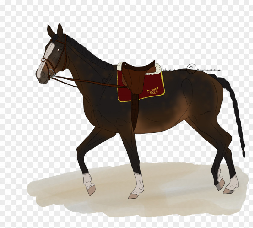 Horse Mule Silhouette PNG