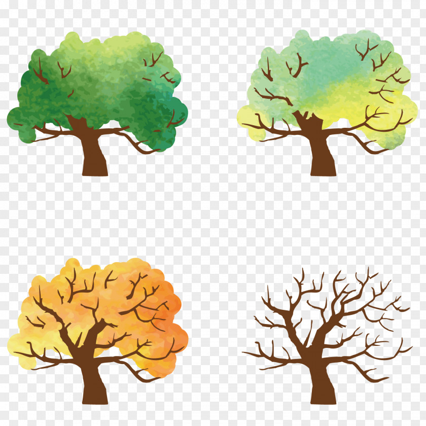 Spring And Summer Autumn Winter Trees Season Download PNG