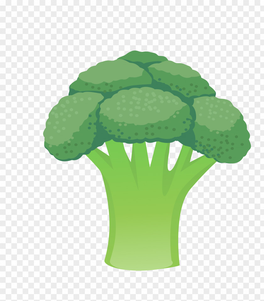 Vector Cauliflower Leaves Vegetable Broccoli PNG