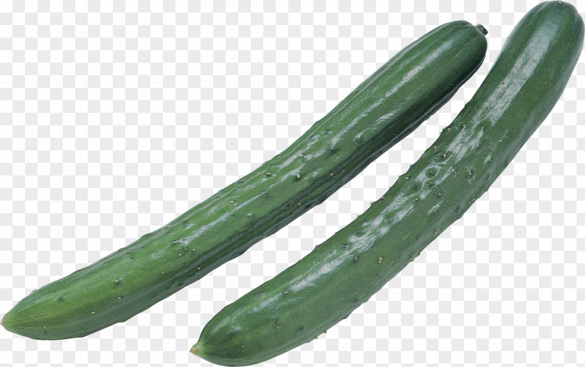Cucumbers Image Pickled Cucumber Vegetable PNG