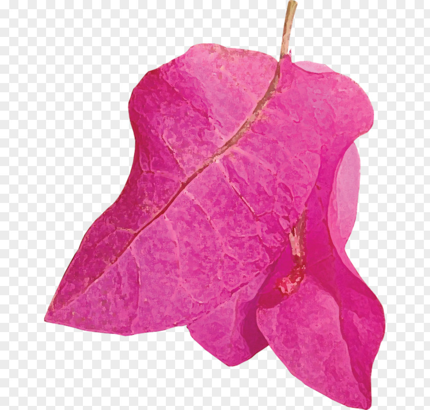 Pink Leaf Image Art Design Drawing Raster Graphics PNG