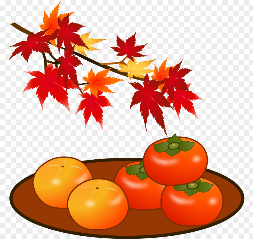 Tomato Japanese Persimmon Autumn Leaf Color Tannin PNG