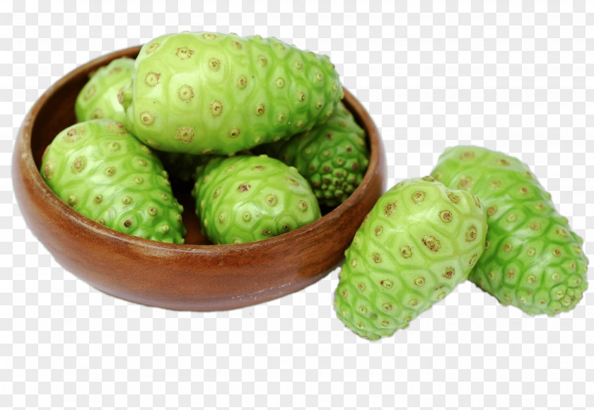 Tropical Fruit Noni Juice Cheese Extract PNG