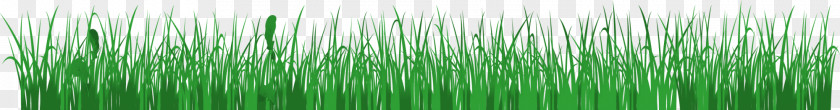 Green And Simple Grass PNG