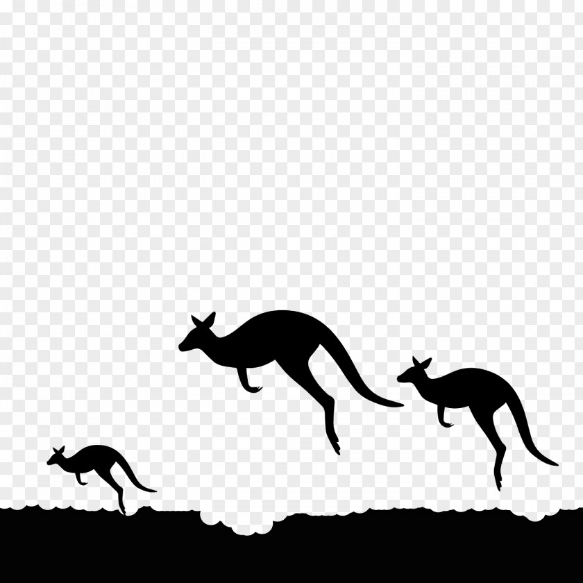 Kangaroo Macropods Mustang Dog Black & White / M PNG