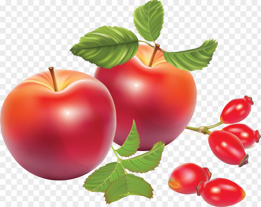 Apple Rose Hip Seed Oil Tea Dog-rose Marmalade PNG