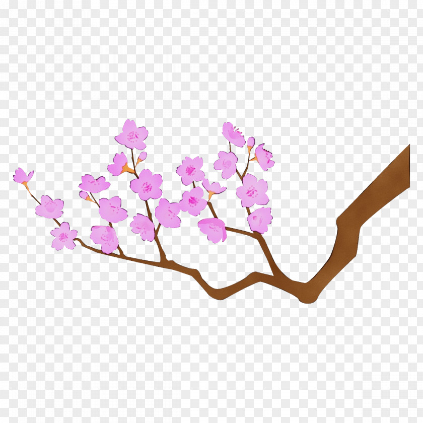 Cherry Blossom Twig PNG