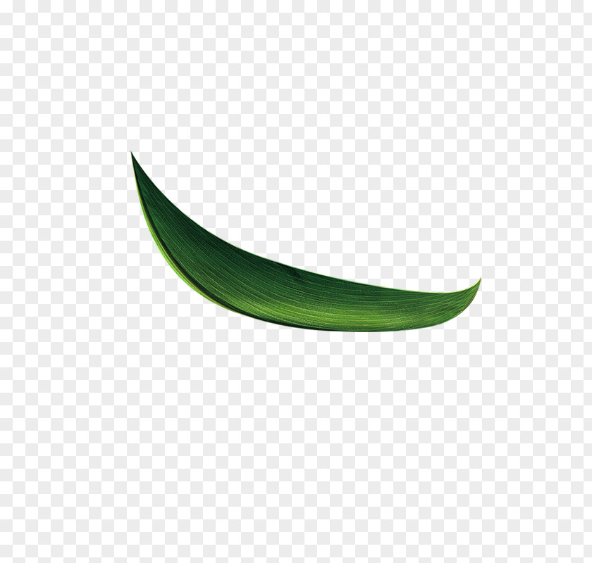 Dragon Boat Festival Leaf PNG