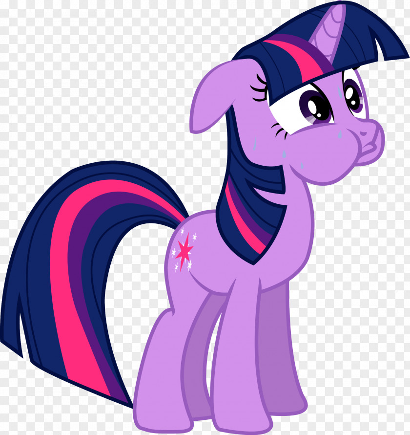 Twilight Sparkle Pinkie Pie Rainbow Dash Rarity Applejack PNG