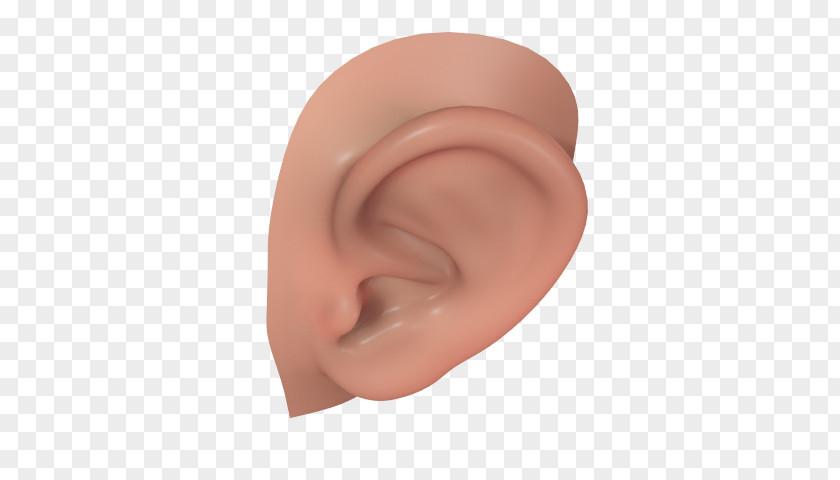Ear Hearing Mercedes-Benz Of St. Louis 3D Computer Graphics Cheek PNG