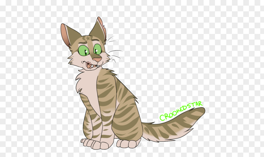 Kitten Tabby Cat Whiskers Wildcat PNG
