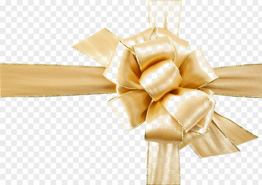 Ribbon Download Computer File PNG