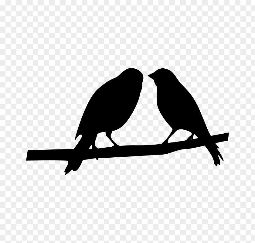 Silhouette Logo Bird Beak Black Branch Songbird PNG