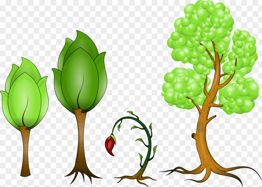 Tree Branch Plant Clip Art PNG