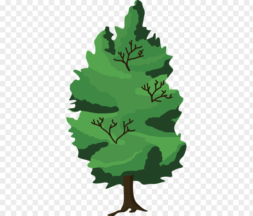 Tree Clip Art Drawing Forest Vector Graphics PNG