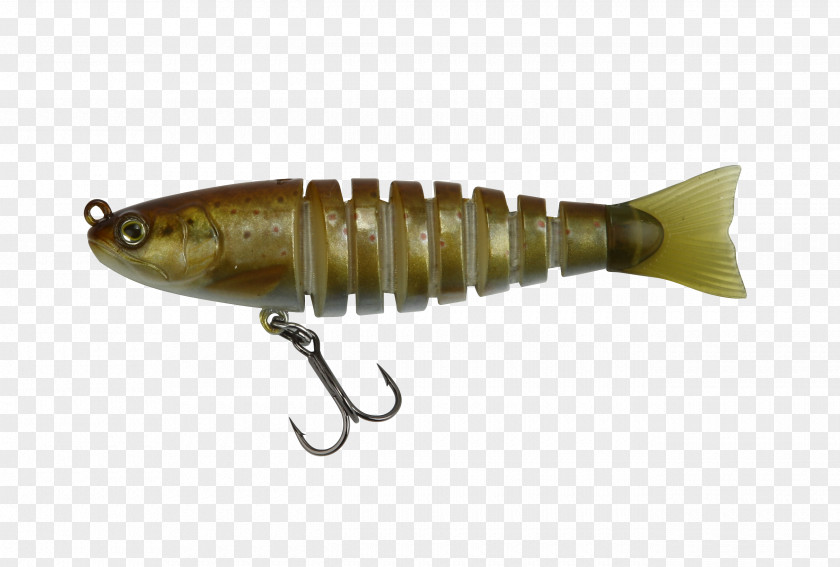 Trout Spoon Lure Color Fishing Brown German Cuisine PNG