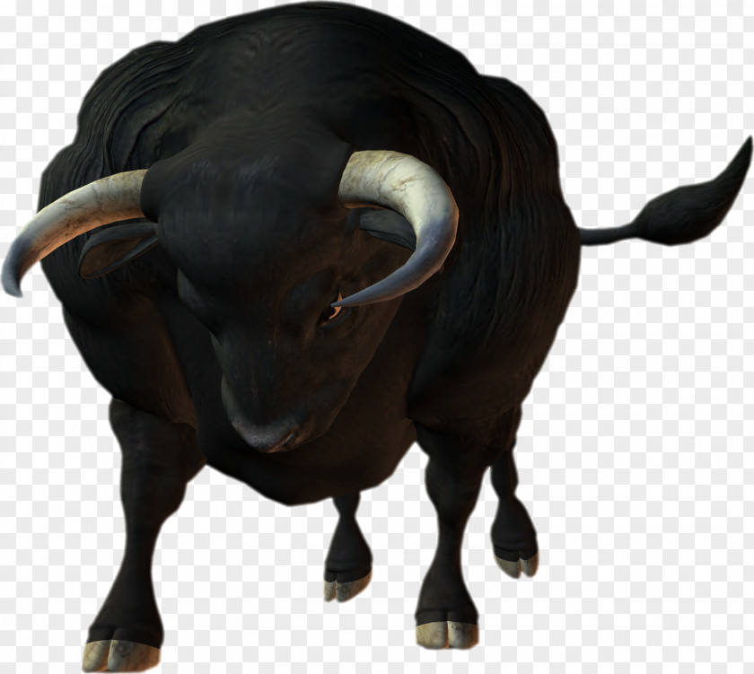 Bull Cattle Texas Ox Calf Clip Art PNG