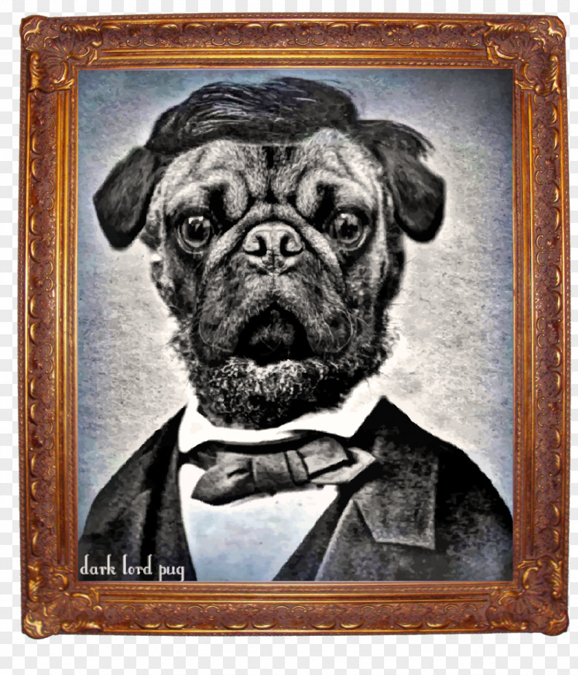 Dvd Pug Dog Breed Mill Creek Toy Picture Frames PNG