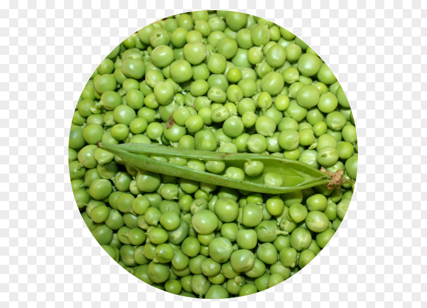 Peas Lima Bean Vegetarian Cuisine Vegetable Food Pea PNG