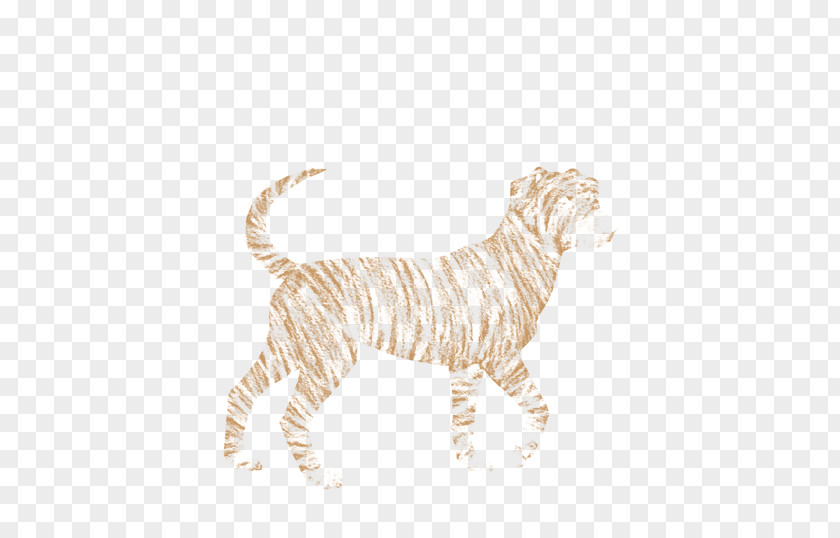 Cat Big Tiger Dog Canidae PNG