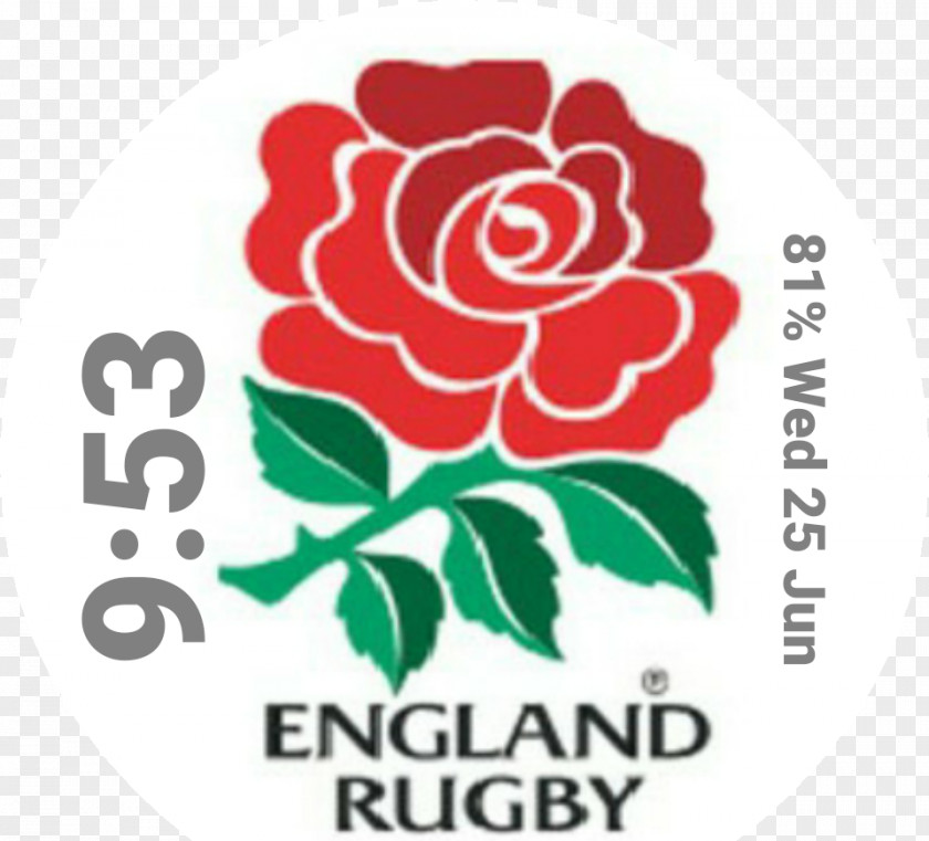 England National Rugby Union Team South Africa Six Nations Championship Irish PNG