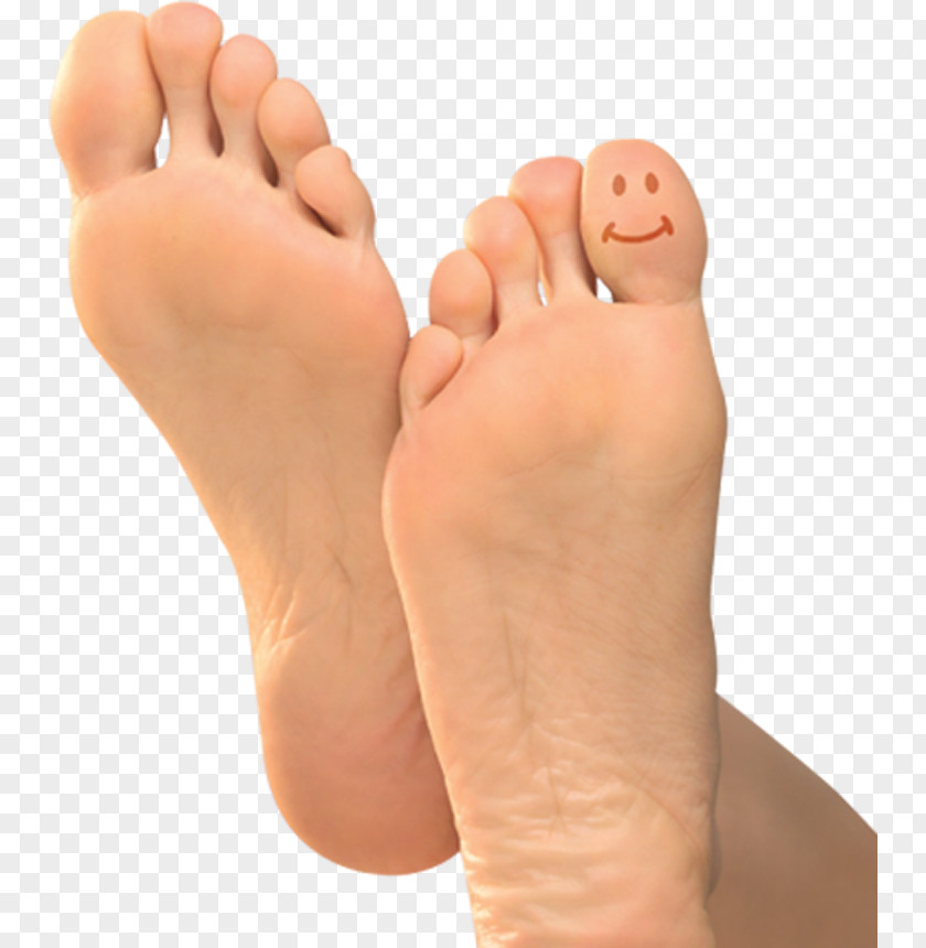 Legs PNG clipart PNG