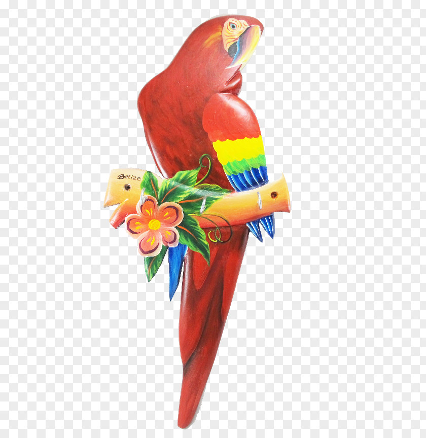 Scarlet Macaw Loriini Bird Parakeet Beak PNG