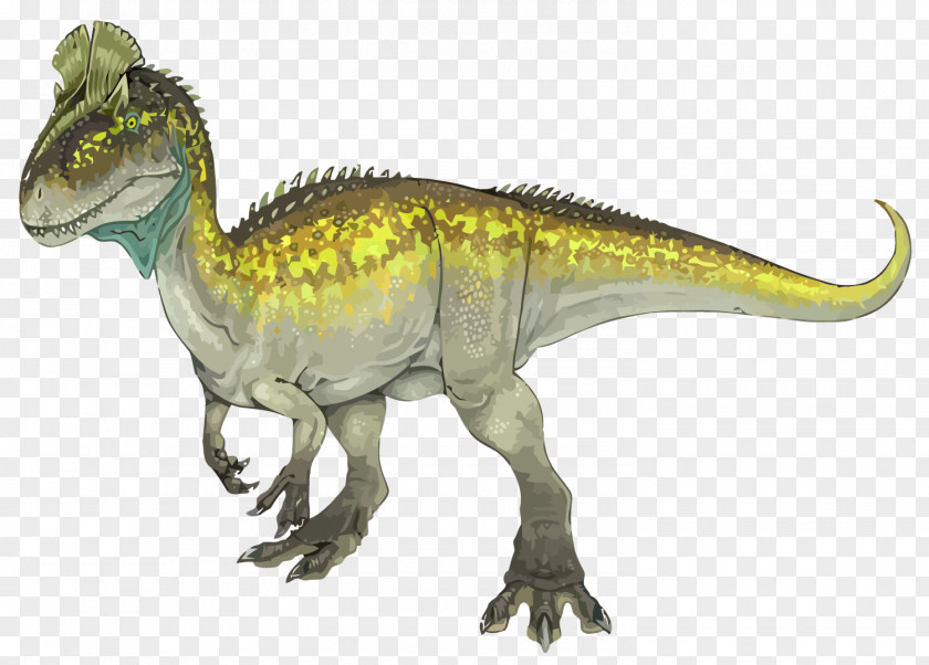 Vector Dinosaur Transantarctic Mountains Cryolophosaurus Allosaurus Apatosaurus Glacialisaurus PNG
