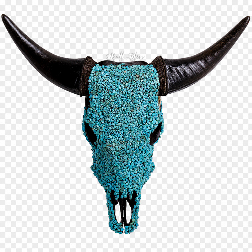 Bull Texas Longhorn Calavera Ox Turquoise PNG