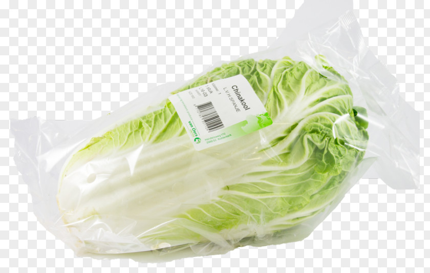 Cabbage Leaf Vegetable Plastic Ingredient PNG