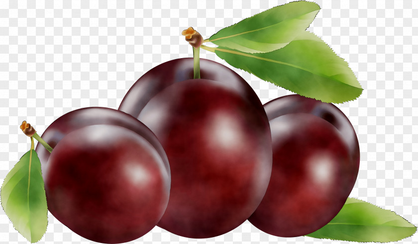 Clip Art Fruit Cherries Image PNG